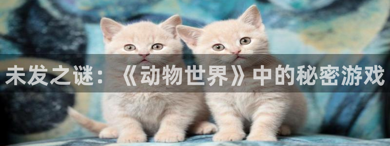 广东火狐电竞app官网营销策划有限公司：未发之谜：《动物世界》中的秘密游戏