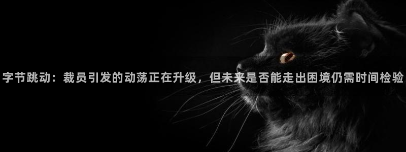 火狐电竞登录注册账号是什么样的